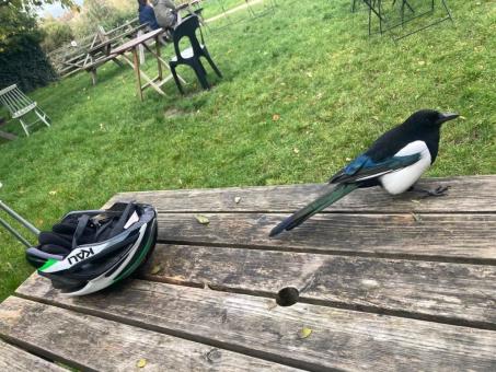 Helmet Usage in Cycling Accidents: How It Affects Your Compensation Claim