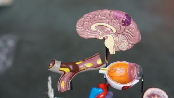 Hit Your Head Cycling? What to Do Next